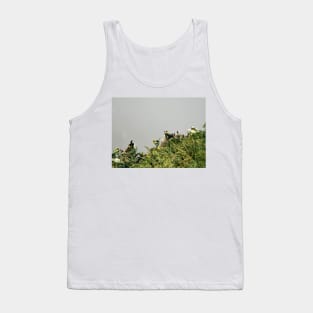 Puffins & Flowers Tank Top